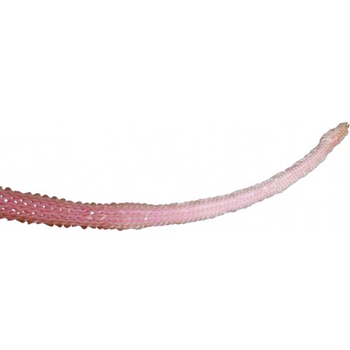 $D   GUIRNALDA PAPEL TUPIDA ROSA 3MT