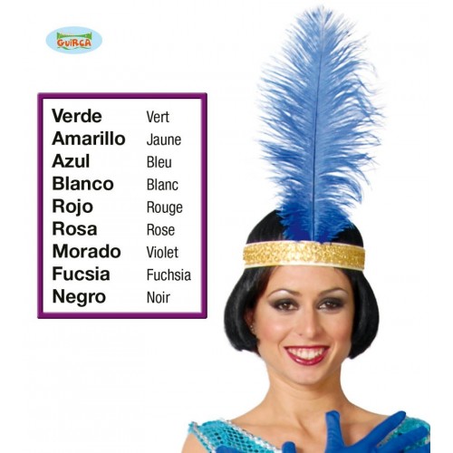 $D PLUMA AVESTRUZ GDE 40CM COL.SURT