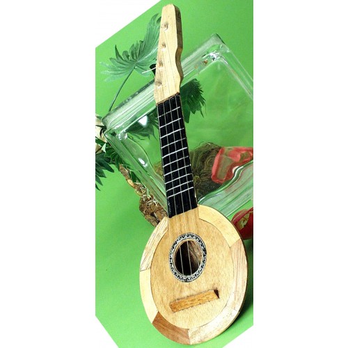 INSTRUMENTO HAWAIANO  