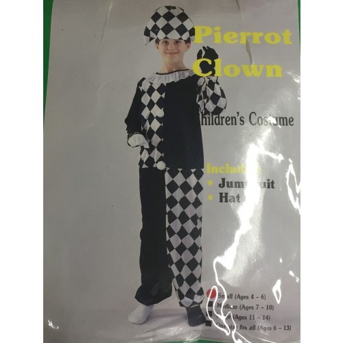 DISFRAZ T 4A6AÑOS ARLEQUIN PIERROT