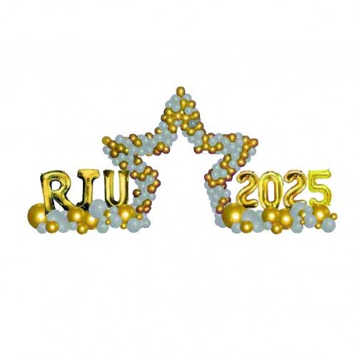 *N52F:ARCO ESTRELLA ORGANICO 2025 LETR