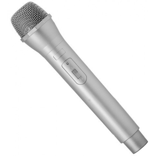   MICROFONO PLATA 24CM