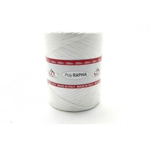   R/RAFIA 200MT BLANCA R53