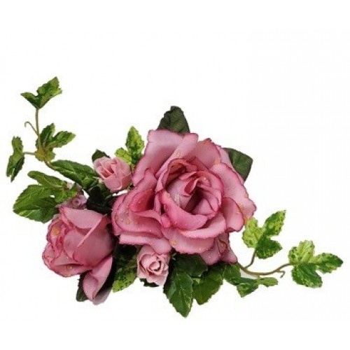 ARO VELA ROSAS SILVESTRE