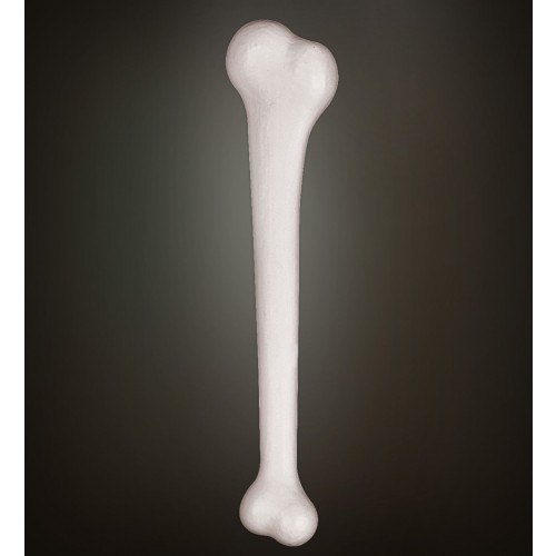 HUESO CAVERNICOLA 38CM