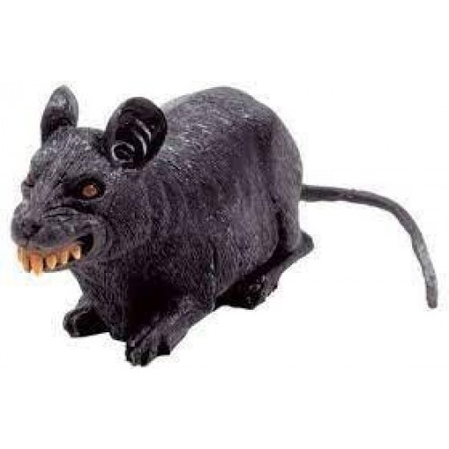 $D RATA DE GOMA 25CM