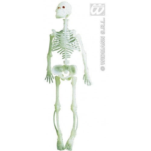 $D COLGANTE ESQUELETO FLUORESCENTE 33CM