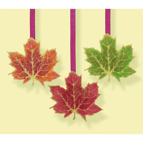 PAQ.3/U COLGANTE CINTA HOJA OTOÑO