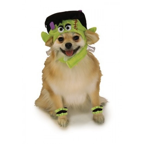 SET MASCOTA T-S MONSTRUO VERDE