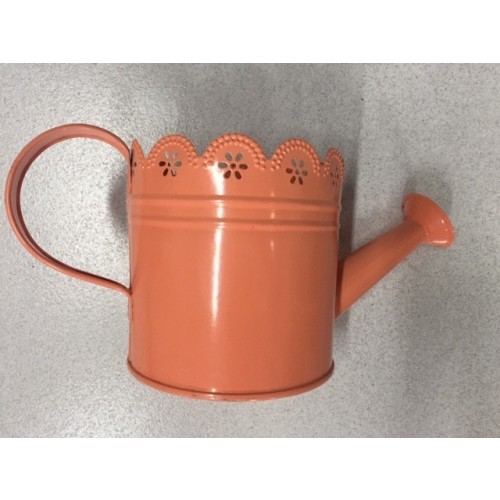 $D REGADERA METAL COL.SURT 25X12X12,5CM