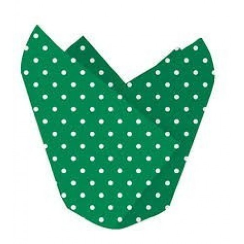 PAQ.12/U CAPSULA MAGDALENA VERDE TOPO