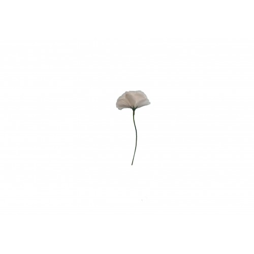   PICK CLAVEL BLANCO