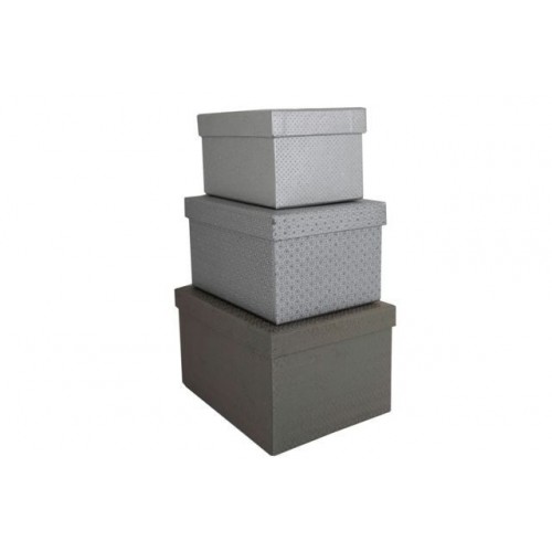   CAJA REG GRISPLATA22,8X15,2X12,7CM