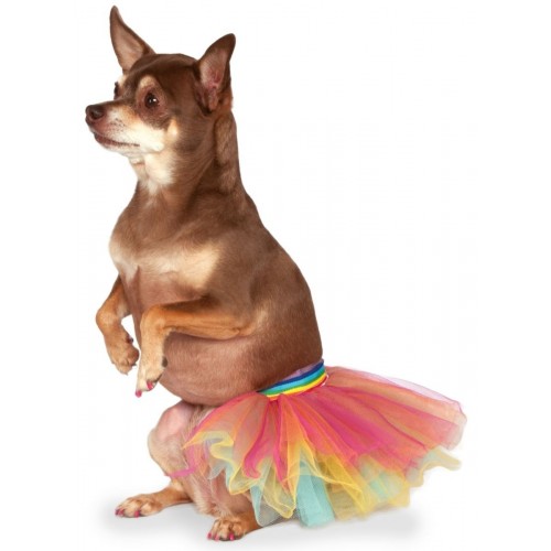 TUTU T-ML ARCO IRIS MASCOTA