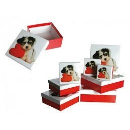 CAJA CUADR. ROJA PERRITO 20,5X20,5X7CM