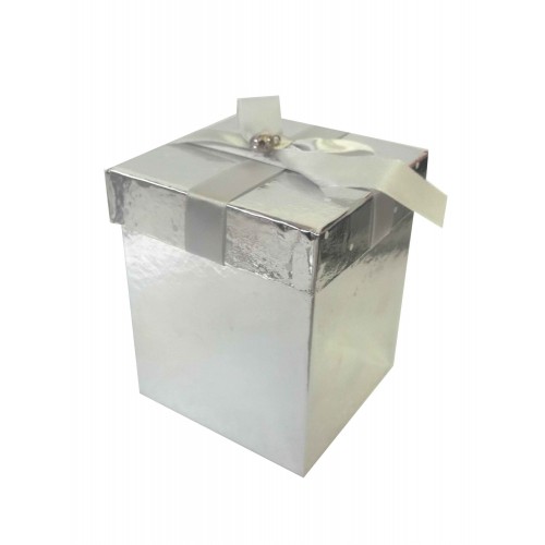 $D CAJA PLATA LAZO CASCABEL 8X8CMS