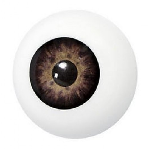 OJO ARTIFICIAL MARRON 1001 27MM