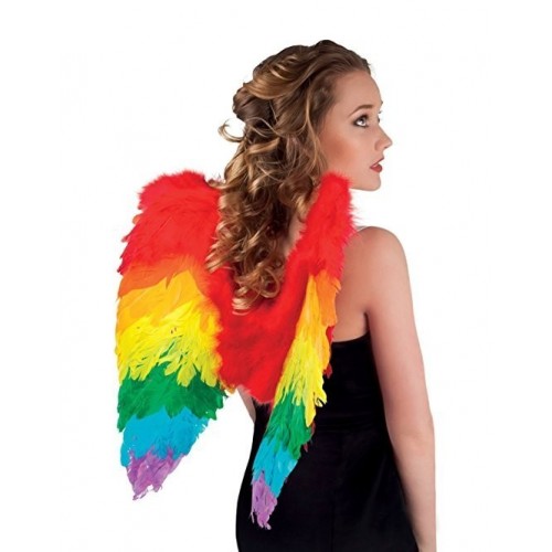 ALAS PLUMA ARCOIRIS C/MARABU 50X50CM