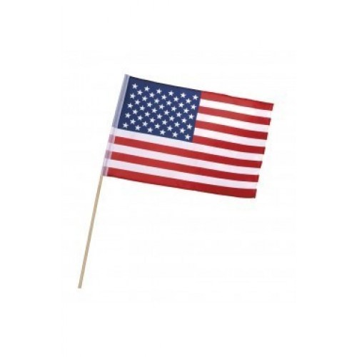 BANDERA C/PALO TELA AMERICANA 30X45CM