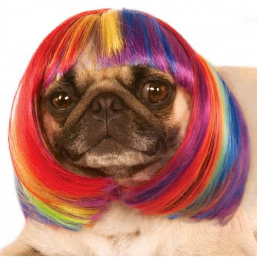 9998505 / PELUCA T-M/L ARCOIRIS MASCOTA