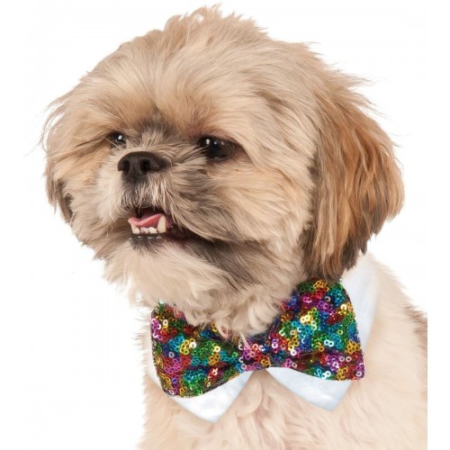  PAJARITA T-ML LENTE MULTI MASCOTA