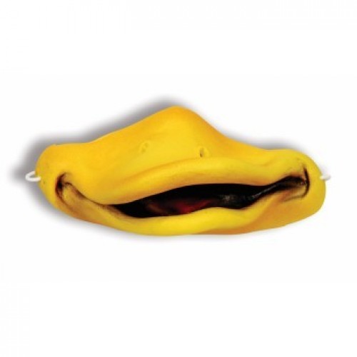   PICO AMARILLO PATO
