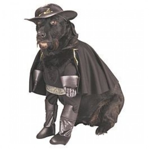 L DISFRAZ T-S MASCOTA ZORRO