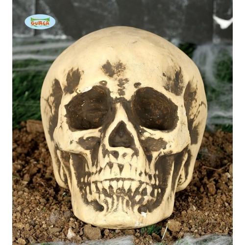 CALAVERA FOAM 22CM