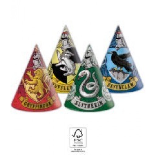   6 SOMBREROS HARRY POTTER