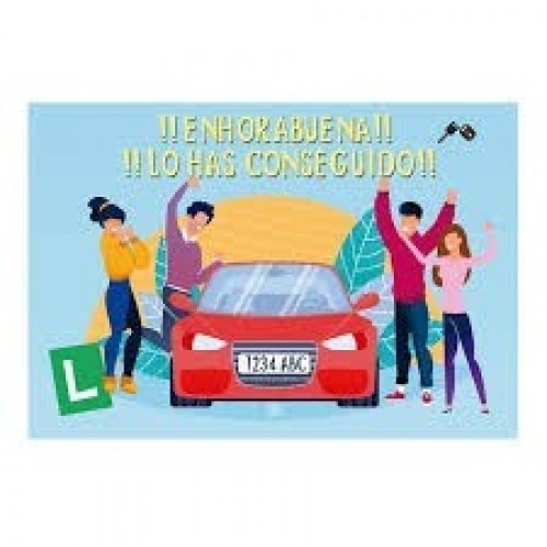 $D TARJETA CARNET DE CONDUCIR  