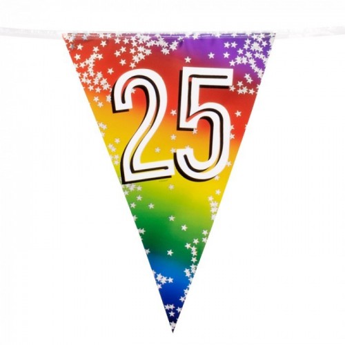BANDERIN TRIANGULAR N25 MULTICOLOR 6M