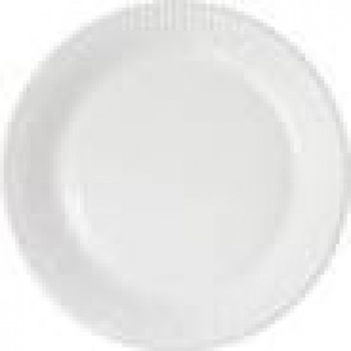  10 PLATOS CARTON BLANCO 23CM