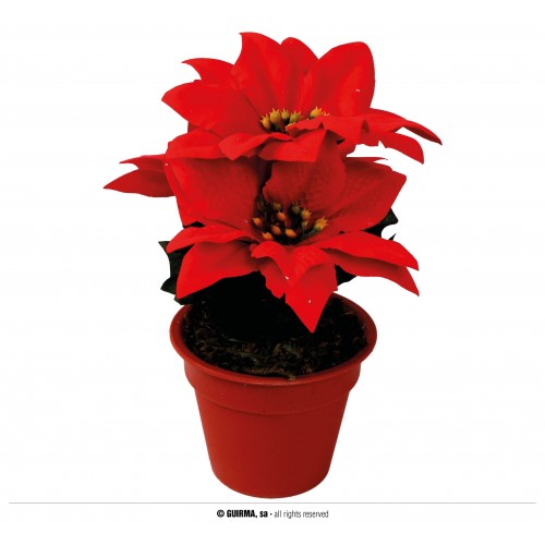 MACETA FLOR PONSETIA 15CM
