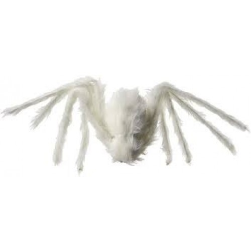 ARAÑA ALBINA PELUDA EFECTO NEON