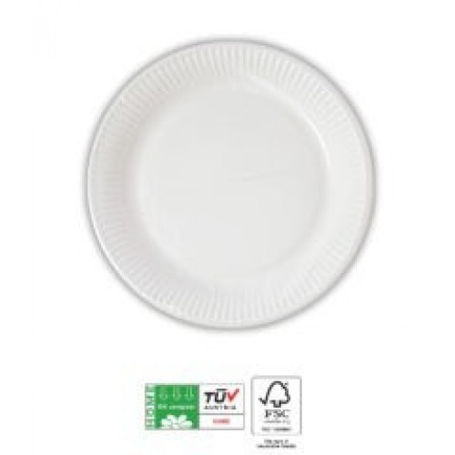  10 PLATOS CARTON BLANCO 19,50CM