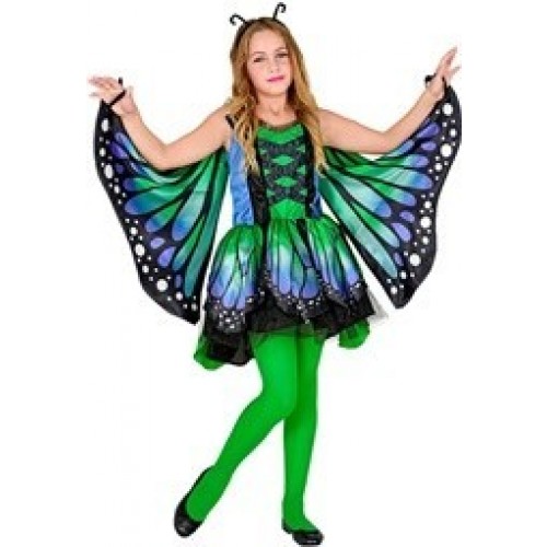 DISFRAZ 5A7AÑOS MARIPOSA VERDE