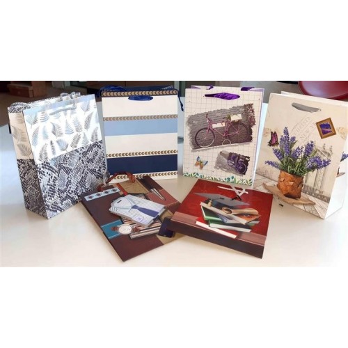 $D  BOLSA CLASSIC SURT 23X19CM   
