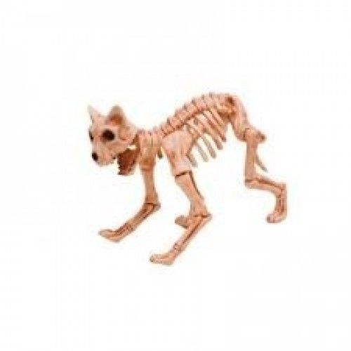 ESQUELETO GATO 50CM