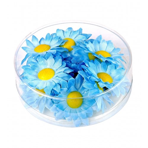 CAJA 20 FLORES MARGARITAS AZULES