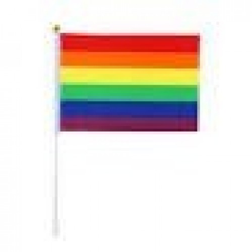 BANDERA ARCOIRIS 30X45CM