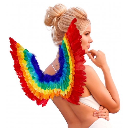 ALAS PLUMAS ARCO IRIS 60X40CM