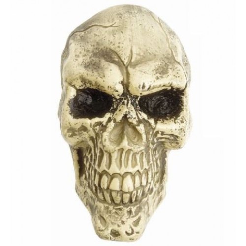 CALAVERA PLANA 25CM
