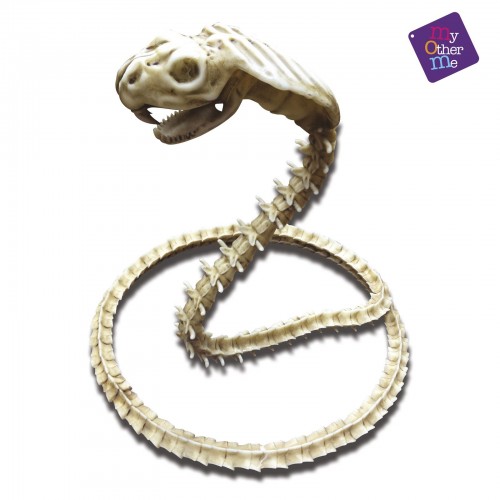 COBRA ESQUELETO 50CM