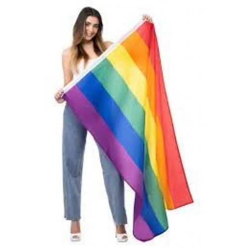 BANDERA GRANDE ARCOIRIS ORGULLO 91X152CM