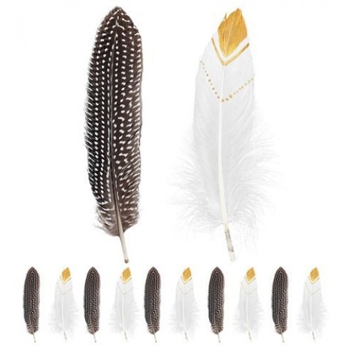 SET 12 PLUMAS INDIO SURT.2 COLORES