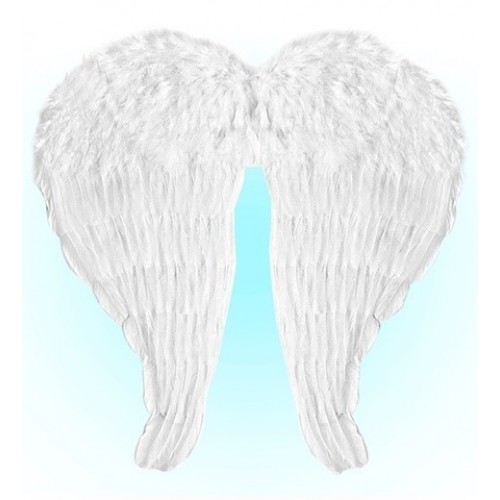   ALAS CON PLUMAS BLANCA 60x46CM