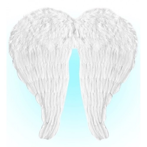   MAXI ALAS PLUMAS BLANCAS 66x62CCM