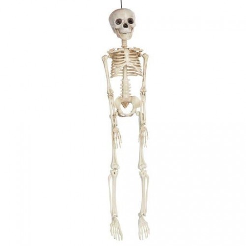 ESQUELETO 45CMS