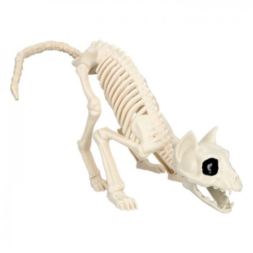 ESQUELETO GATO 51X14CM