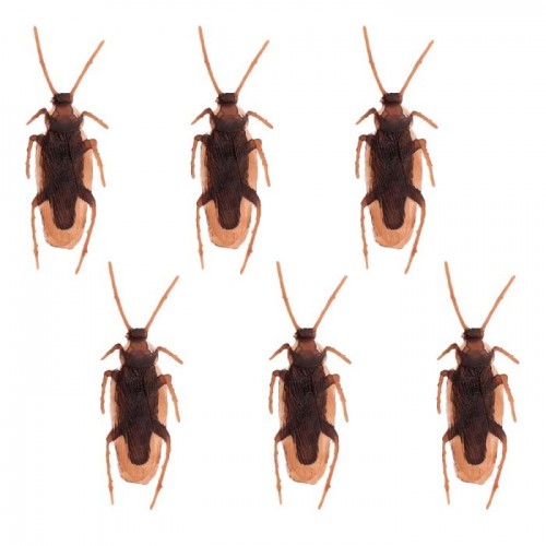 6 CUCARACHAS 7CM